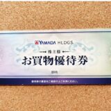 ヤマダホールディングス,株主優待