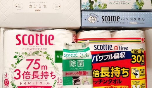 日本製紙の株主優待到着