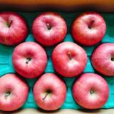 アークス　株主優待