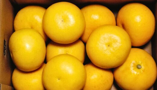 毎年いただくふるさと納税返礼品到着